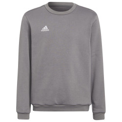 Adidas Παιδικό φούτερ Entrada22 Sweatshirt